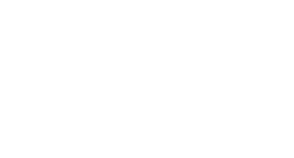CleanCouch